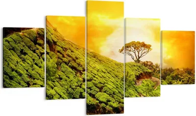 Produktbild von Bild auf Leinwand - Leinwandbild - Berg Baum Pfad Hügel - 125x70cm - Wand Bild - Wanddeko - Leinwanddruck - Bilder - Kunstdruck - Wanddekoration - Leinwand bilder - Wandkunst - EA125x70-2715