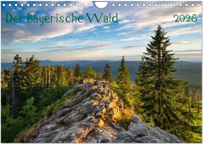 Produktbild von Der Bayerische Wald (Wandkalender 2025 DIN A4 quer), CALVENDO Monatskalender