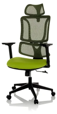 Produktbild von Ergonomischer Bürostuhl ERGOMY mit Lordosenstütze, Kopfstütze, Drehstuhl mit Netz-Rückenlehne, Stoff Grün