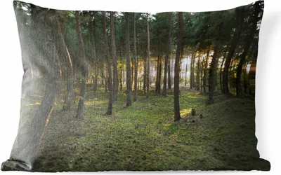 Produktbild von MuchoWow® Outdoor Kissen - Baum - Sonne - Gras - 50x30 cm - Wetterfest - Lounge Kissen - Sofa kissen - Wohnzimmer Dekoration