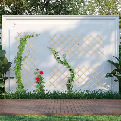 Image de Ensemble de treillis extensible pour plantes, 180 x 90 cm, fixation murale