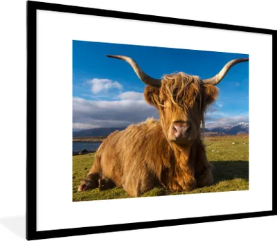 Produktbild von MuchoWow® Gerahmtes Poster Schottische Highlander - Tiere - Gras 80x60 cm - Poster mit Schwarzem Bilderrahmen Wandposter Rahmen Foto Bilder - Schlafzimmer-Dekorationen - Fotoposter