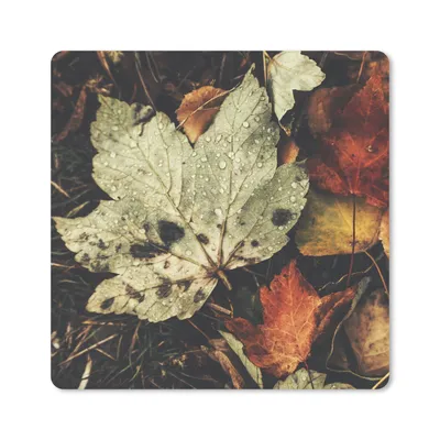 Produktbild von MuchoWow® Mauspad Mousepad Herbstblätter - Herbst - Jahreszeiten - Natur 20x20 cm - Mousepads - Maus Mat - Pad - Mausunterlage - Desk Mat - Bureauartikeln