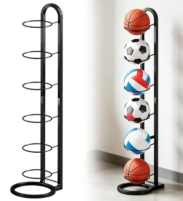 Immagine prodotto di Porta pallacanestro da terra con 6 livelli