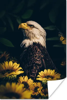 Produktbild von MuchoWow® Poster Adler - Gelb - Blumen - Botanisch 60x90 cm - Wanddekoration