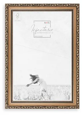 Produktbild von Bilderrahmen Barock N#71 Antik Vintage Massivholz Fotorahmen  Bronze, Größe:120x80