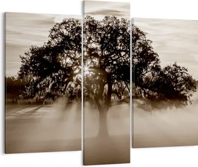 Produktbild von Bild auf Leinwand - Leinwandbild - Baum Feld Natur - 95x80cm - Wand Bild - Wanddeko - Wandbilder - Leinwanddruck - Bilder - Kunstdruck - Wanddekoration - Leinwand bilder - Wandkunst - CB95x80-3811
