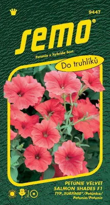 Zdjęcie produktu dla Semo Petunia zwisająca - Velvet Salmon Shades F1 (typ Surfinia) 10p
