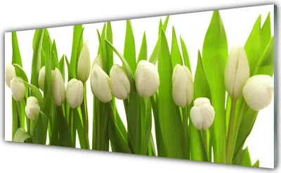 Produktbild von Glasbilder 125x50 Wandbild Druck auf Glas Tulpen Pflanzen