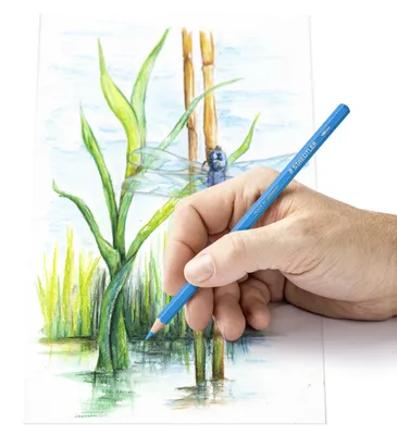 Zdjęcie produktu dla Staedtler 146 10C, Wielobarwny, 12 szt.