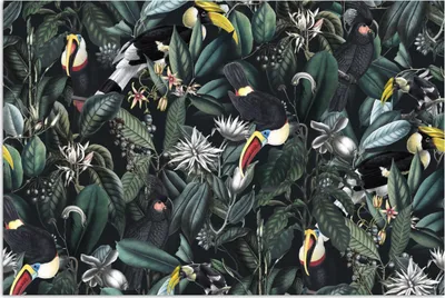 Produktbild von MuchoWow® Poster Blumen - Vogel - Tukan 180x120 cm - Fotoplakat