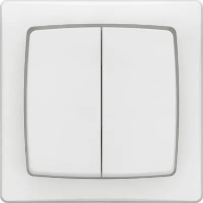 Image de Double interrupteur va-et-vient saillie complet, LEGRAND Asl, blanc
