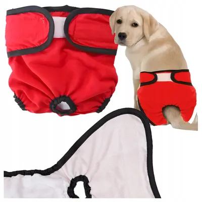 Produktbild von Fazoo Hundewindel Größe S Rot Verstellbar Saugfähig