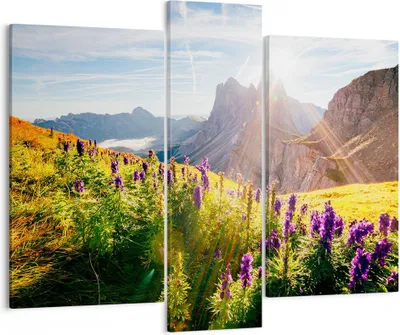 Produktbild von Bild auf Leinwand - Leinwandbild - Berge Wiese Blumen - 95x80cm - Wand Bild - Wanddeko - Wandbilder - Leinwanddruck - Bilder - Kunstdruck - Wanddekoration - Leinwand bilder - Wandkunst - CB95x80-4008