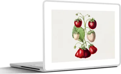 Produktbild von MuchoWow® Laptop Aufkleber Sticker Cover Erdbeeren - Pflanze - Lebensmittel 31x22.5 cm - Laptop-Deko
