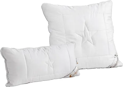 Two white pillows, one rectangular and one square, are shown against a white background.