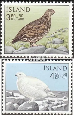 Produktbild von Briefmarken Island 1965 Mi 388-389 (kompl.Ausg.) postfrisch Alpenschneehuhn