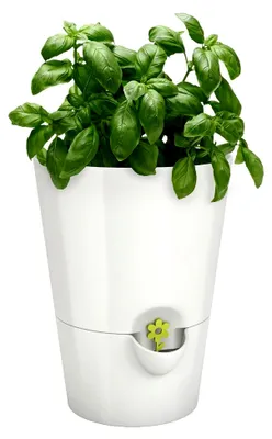 Produktbild von Kräutertopf für frische Kräuter, Selbstbewässerung, Wasserstandsanzeiger, Ø 13 cm, Weiß, Fresh Herbs