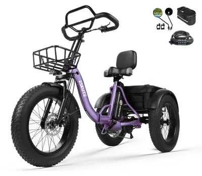 Immagine prodotto di Bici elettrica ESKUTE T302 Pro 250W 48V20,8Ah viola con accessori