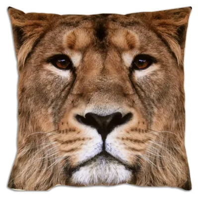 Produktbild von Kissenbezug mit Fotodruck in 40x40 cm, weiche Kissenhülle mit Reißverschluss in verschiedenen Motiven (Design: Löwe)