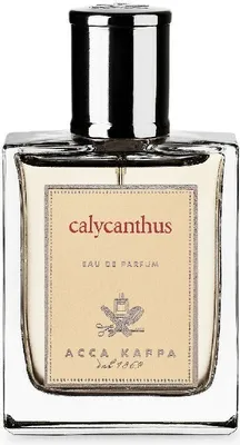 A clear, front-facing studio shot of a perfume bottle.