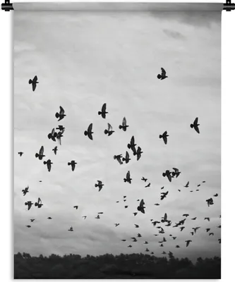 Produktbild von MuchoWow® Wandteppich Wandbehang Tiere - Vögel - Wolken - Schwarz - Weiß 150x200 cm Tapisserie Dekoration Wandtuch - Wandaufhängung - Moderner