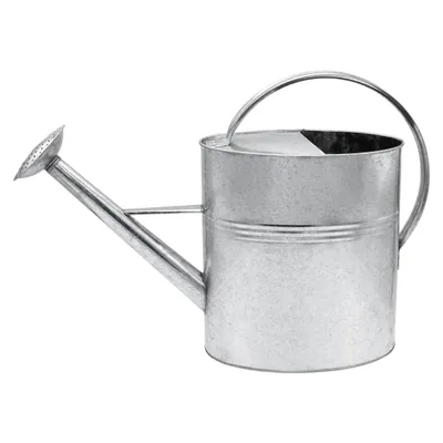 Immagine prodotto di Annaffiatoio 10 litri, zincato - ovale circa 54 cm