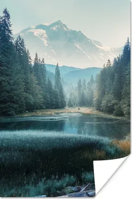 Produktbild von MuchoWow® Poster Wald - Gras - Berge - Bäume - Natur 40x60 cm - Plakate für die Wand - Poster Babyzimmer