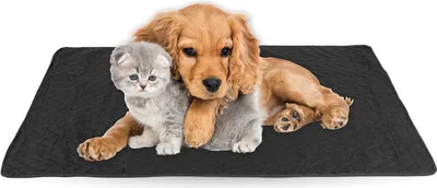 Produktbild von Haustiermatte - weiche warme Haustierdecken 100 perfekt für Katzen bis große Hunde - S-XL - Steppdecke für Sofa / Bett - Schutz