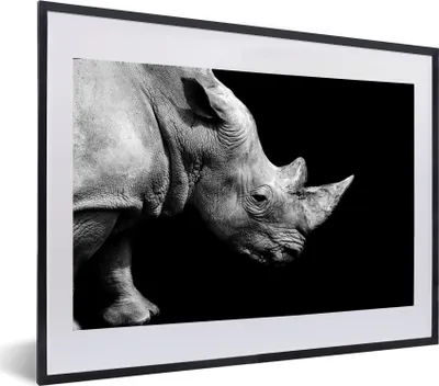 Produktbild von MuchoWow® MuchoWow® Gerahmtes Poster Portrait Nashorn auf schwarzem Hintergrund 60x40 cm - Poster mit zchwarzem Bilderrahmen - Schlafzimmer - Plakat in Rahmen - Drucken
