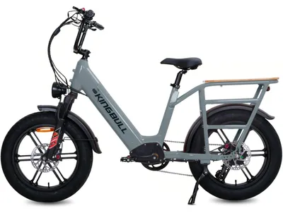 Produktbild von E-Bike Fatbike 48V 15Ah Akku 100km Reichweite 20x4.0 Zoll Grau
