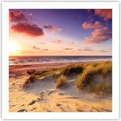 Produktbild von Poster - Poster ohne Rahmen - Meer Strand Düne - 60x60 cm - Wand Bild - Wanddeko - Wandbilder - Kunstposter - Wandposter - Bilder - Kunstdruck - Wanddekoration - Wandbild - P2XAC60x60-3540