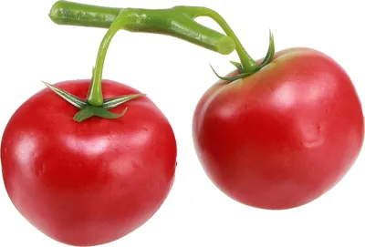 Produktbild von Hochwertige künstliche Tomatenrispe für kreative Dekorationen