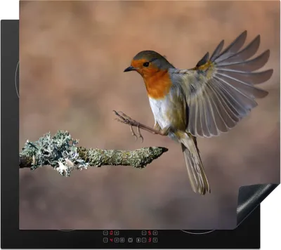 Obrázek produktu pro KitchenYeah® Krycí deska na sporák robin - mouchy - větvičky, 60x52cm, dekorace do kuchyně, keramická krycí deska, krycí deska na varnou desku