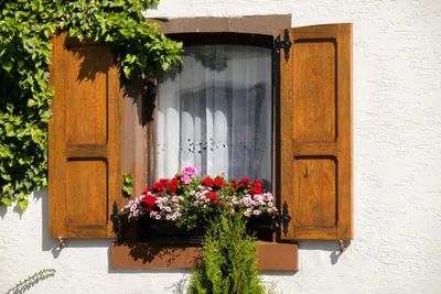 Produktbild von hansepuzzle 25169 - Blumen-Fenster Puzzle, 2000 Teile, Gebäude, 90,0 x 60,0cm mit hochwertiger Aufbewahrung, Kartonbox & Beutel