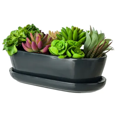 Productafbeelding van Bloempot, bloempot met onderzetter, grafiet, cactuspot met onderzetter, ovaal, afmetingen: 13 cm x 27,5 cm x 8 cm, afwerking: glanzend, geschikt voor cactussen, materiaal: keramiek, stijl: modern, glamour