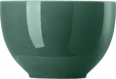 Immagine prodotto di Thomas Sunny Day Müslischale, Porzellan, Herbal Green, 12 cm, 10850-408546-15456