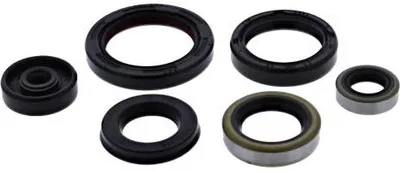 Obrázek produktu pro Sada motorových těsnění WINDEROSA W822995