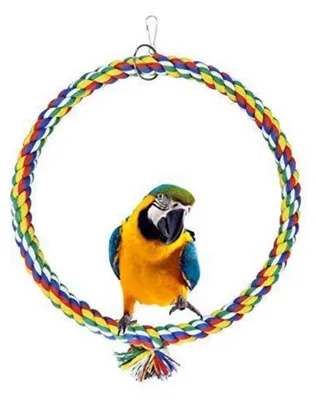 Image de Jouet d'escalade en corde de coton pour oiseaux, accessoire pour cage, 25 cm