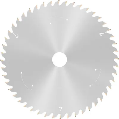 Image de Lame de scie circulaire PRO Wood cordless, 160 x 1,5 x 20 mm, T48