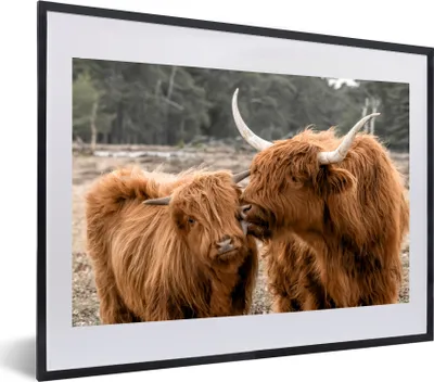 Produktbild von MuchoWow® MuchoWow® Gerahmtes Poster Schottisches Hochlandrind - Tiere - Wald 60x40 cm - Poster mit zchwarzem Bilderrahmen - Schlafzimmer - Plakat in Rahmen - Drucken