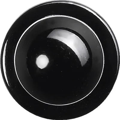 Produktbild von Greiff GASTRO MODA Cuisine 12 Kugelknöpfe Schwarz