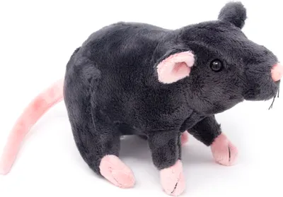 Image de Cornelissen - Peluche - Rat - 2 couleurs assorties - 31 cm