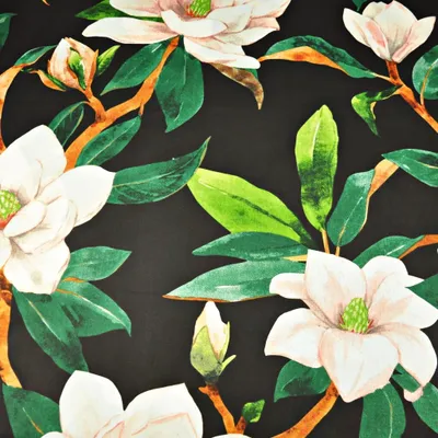 Produktbild von Baumwolle 100% Magnolienblüten auf schwarzem Hintergrund - 220cm