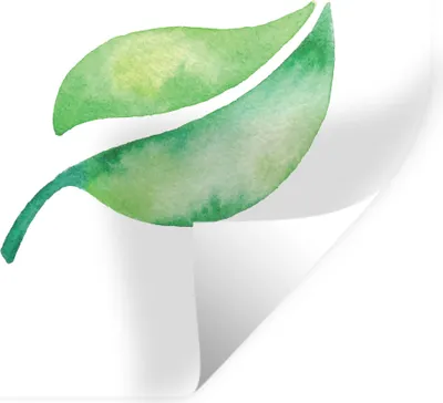 Produktbild von MuchoWow® - Wierderverwendbar - Selbstklebend