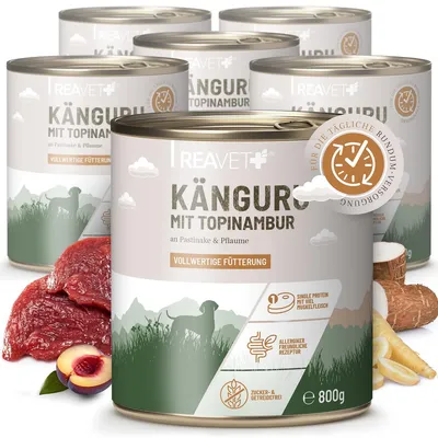 Produktbild von REAVET Hundenassfutter – Känguru mit Topinambur an Pastinake & Pflaume | 6 x 800g
