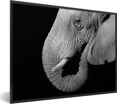 Produktbild von MuchoWow® Gerahmtes Poster Nahaufnahme Porträt eines Elefanten auf einem schwarzen Hintergrund - schwarz und weiß 40x30 cm - Poster mit Schwarzem Bilderrahmen Wandposter Rahmen Foto Bilder - Kunstposter - Wanddekorationen