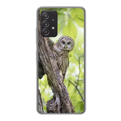 Produktbild von MuchoWow® Handyhülle Schutzhülle Hülle für Samsung Galaxy A33 5G Eule - Wald - Licht Silikon Softcase Handy Hülle - Kartenhalter