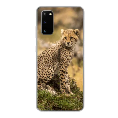 Produktbild von MuchoWow® Handyhülle Schutzhülle Hülle für Samsung Galaxy S20 Leopard - Wald - Tier Silikon Softcase Handy Hülle - Bild