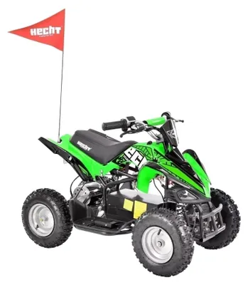 Produktbild von Kinder Elektro-Quad mit 1000 W Motor und 36V Akku, 25 km/h